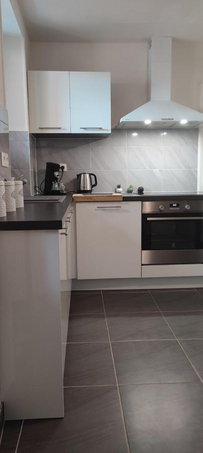 Logement Cosy Et Spacieux, A 2 Pas Du Centre-Ville Колмар Екстериор снимка